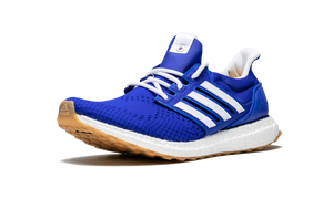 Ultra Boost E.G Engineered Garments