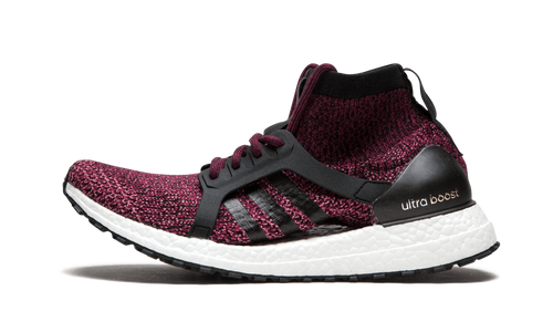 UltraBOOST x All Terrain BURGUNDY-BLACK