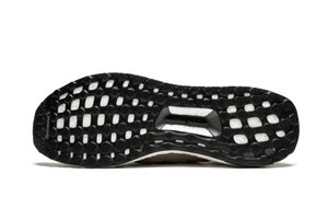 UltraBOOST TRACEKHAKI-CLEARBROWN